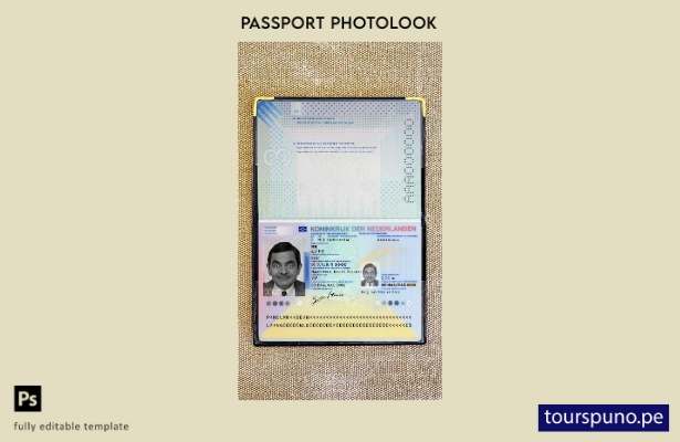listo para imprimir plantilla de aspecto fotográfico del pasaporte holandés (pre